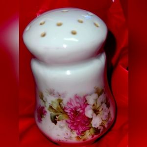 Vintage Porcelain Salt Shaker